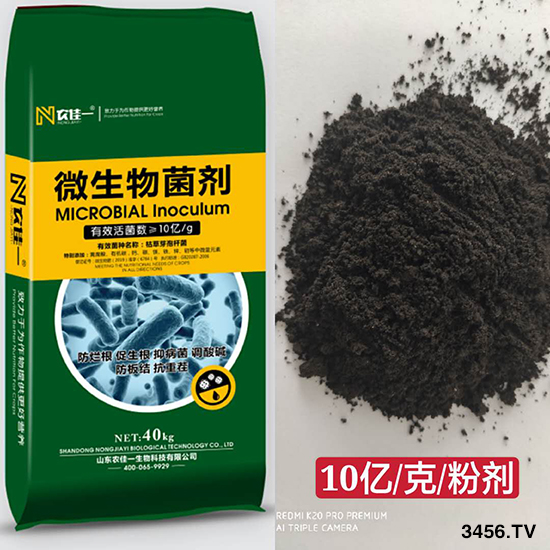 微生物菌肥火了!小编告诉你微生物菌肥的优点! 微生物菌肥火了!小编告诉你微生物菌肥的优点!